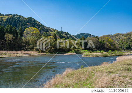 京都の清流木津川　新緑の季節　京都府南山城村 113605633