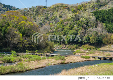 京都の清流木津川　南大河原の沈下橋　恋路橋　京都府南山城村 113605636