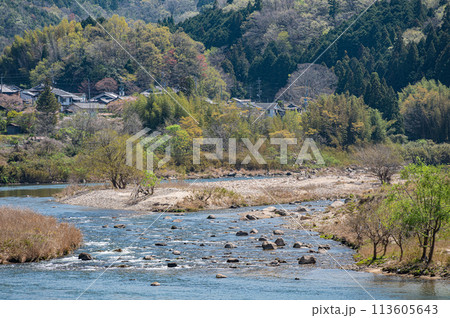 京都の清流木津川　新緑の季節　京都府南山城村 113605643