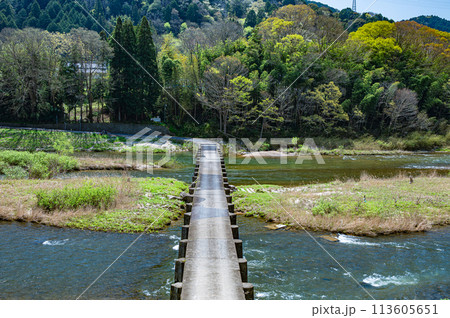 京都の清流木津川　南大河原の沈下橋　恋路橋　京都府南山城村 113605651