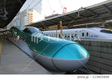 東京駅に停車中の「新幹線E5系」 113605666
