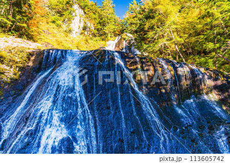 （長野県）紅葉が始まった乗鞍高原　三本滝 113605742