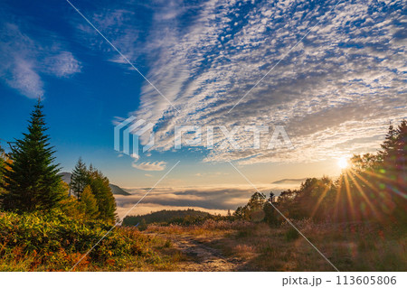 (長野県)紅葉が始まった乗鞍高原 三本滝付近のスキー場ゲレンデ (長野県)紅葉が始まった乗鞍高原 三本滝付近のスキー場ゲレンデ 113605806