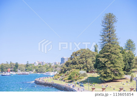 シドニーの湾付近の公園(人物ぼかし済み) シドニーの湾付近の公園(人物ぼかし済み) 113605854