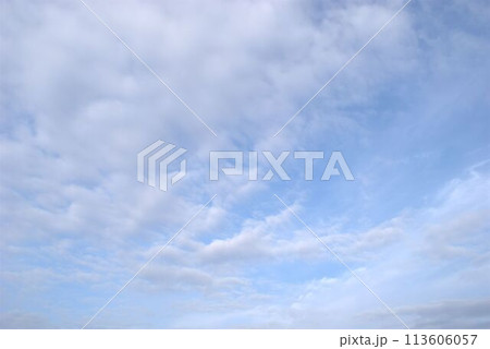 青空に広がる白い雲 113606057