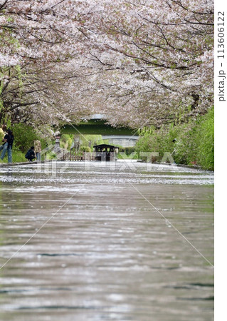 京都伏見十石舟 113606122