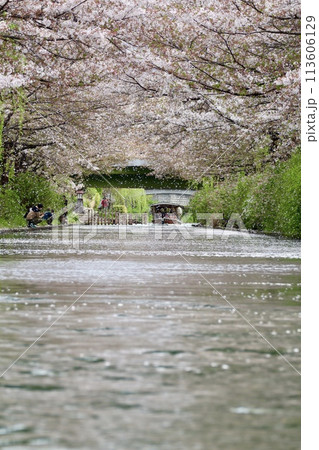 京都伏見十石舟 113606129