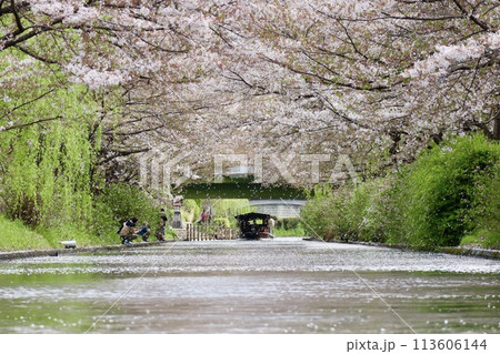 京都伏見十石舟 113606144