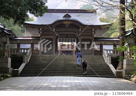 弥彦神社参道 113606464