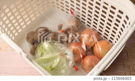 収穫した野菜 113606803