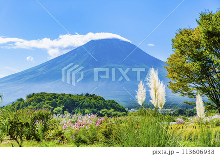 初秋の富士山　～河口湖大石公園～ 113606938