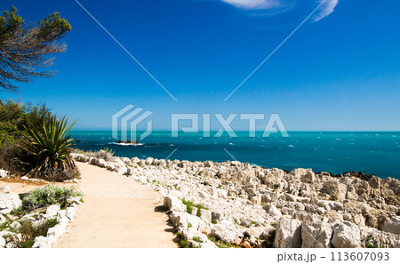 The Tirepoil footpath in Cap d'Antibes 113607093