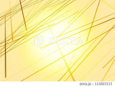 ゴールドのランダムライン背景 113607213