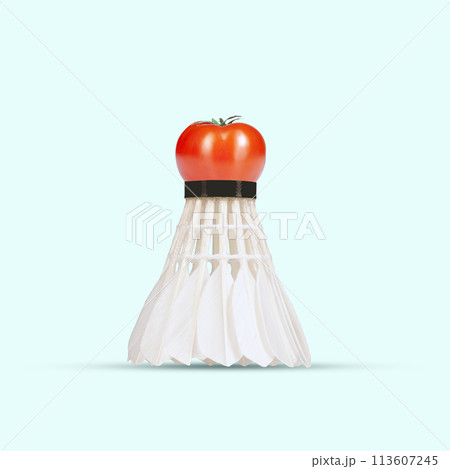 Contemporary art collage. Shuttlecock with tomato on top. symbolizing athleticism and proper nutrition. Contemporary art collage. Shuttlecock with tomato on top. symbolizing athleticism and proper nutrition. 113607245