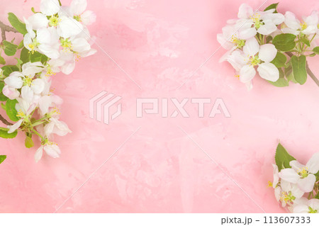 a branch of spring blossoming apple tree on a pink background. a branch of spring blossoming apple tree on a pink background. 113607333