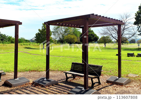 晴れた人気のない緑の公園のベンチと格子の日よけ 113607808