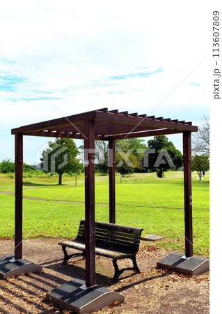 晴れた人気のない緑の公園のベンチと格子の日よけ 113607809