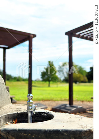 晴れた人気のない緑の公園の水飲み用蛇口 113607813