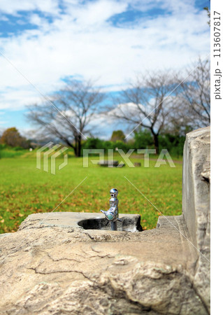 晴れた人気のない緑の公園の水飲み用蛇口 113607817