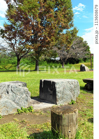 晴れた人気のない緑の公園のベンチと石のかまど 晴れた人気のない緑の公園のベンチと石のかまど 113608679