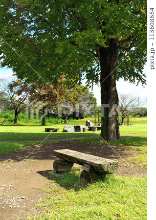 晴れた人気のない緑の公園のベンチ 113608684