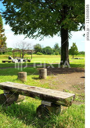 晴れた人気のない緑の公園のベンチ 晴れた人気のない緑の公園のベンチ 113608686