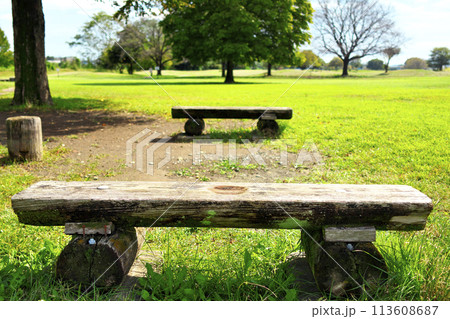 晴れた人気のない緑の公園のベンチ 晴れた人気のない緑の公園のベンチ 113608687