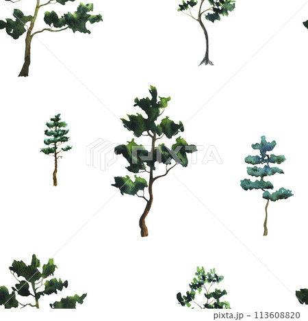 Pine tree watercolor seamless pattern, minimal style, side view. Fir tree. Hand drawn watercolour illustration, isolated on white background. Environment and ecology. Tall green conifer plants. Pine tree watercolor seamless pattern, minimal style, side view. Fir tree. Hand drawn watercolour illustration, isolated on white background. Environment and ecology. Tall green conifer plants. 113608820