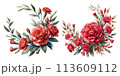 赤いカーネーションの丸いリースの水彩イラストの素材セット 113609112