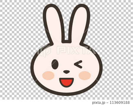 兔子的臉微笑和眨眼的插圖 113609188