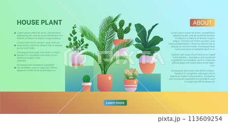 House plant landing page template. Home gardening website, homepage, Home organic interior design, urban jungles concept flat vector illustration House plant landing page template. Home gardening website, homepage, Home organic interior design, urban jungles concept flat vector illustration 113609254