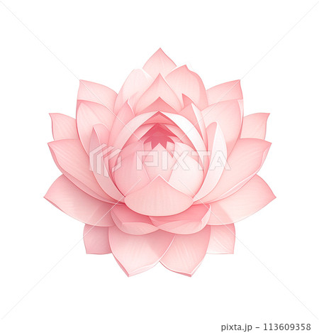 Pink lotus flower with a layered, symmetrical design. Transparent background Pink lotus flower with a layered, symmetrical design. Transparent background 113609358