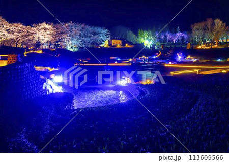 国営みちのく湖畔公園　夜桜のライトアップ「みちのく花明かり」　宮城県川崎町 113609566