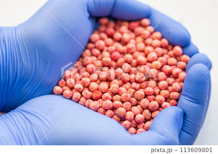 Close-up of a handful in the hands in the form of a heart etched soybean seeds Close-up of a handful in the hands in the form of a heart etched soybean seeds 113609801