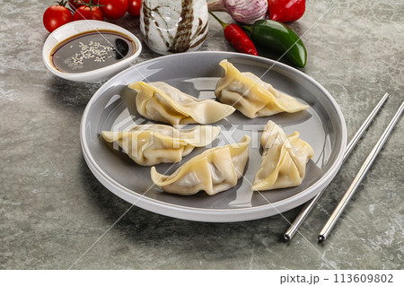Japanese cuisine - dumplings gyoza with sauce 113609802