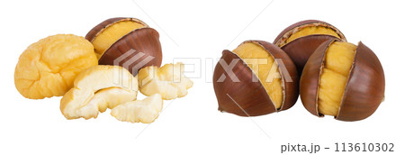 roasted peeled chestnut isolated on white background wit full depth of field. 113610302