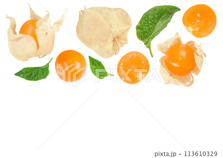 Cape gooseberry or physalis isolated on white background. Top view with copy space for your text. Flat lay Cape gooseberry or physalis isolated on white background. Top view with copy space for your text. Flat lay 113610329