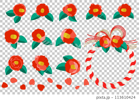 赤い椿の花としめ飾りのカラーイラスト 113610424