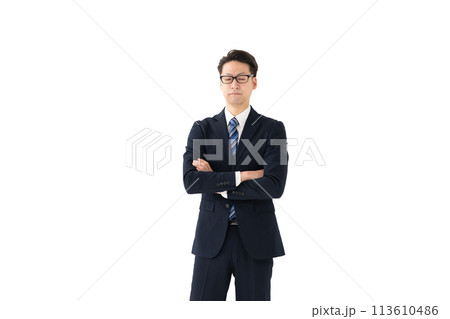 ビジネスマン　ミドル　ポートレート 113610486