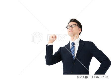 ビジネスマン　ガッツポーズ 113610496