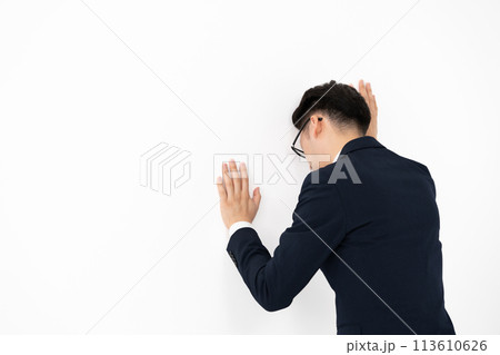 ビジネスマン　ミドル　悩む　体調不良 113610626