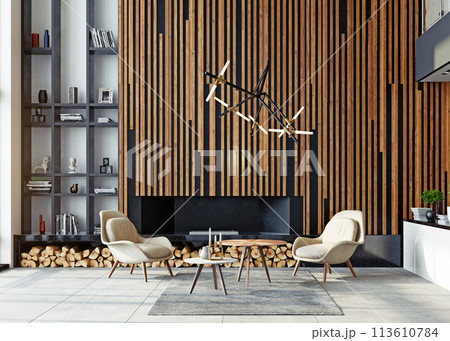 modern living interior 113610784