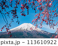春の山中湖旅行 富士山と桜のお花見 113610922