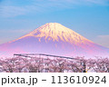 静岡 富士山のお花見 御殿場 東山湖 113610924