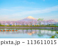 静岡 富士山のお花見 御殿場 東山湖 113611015