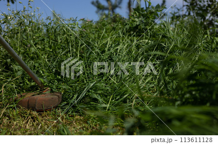 The trimmer mows tall, lush grass well on a clear summer day against a blue sky. A trimmer cuts the tall grass on the lawn in front of the summer's house. Lawn care concept. The trimmer mows tall, lush grass well on a clear summer day against a blue sky. A trimmer cuts the tall grass on the lawn in front of the summer's house. Lawn care concept. 113611128