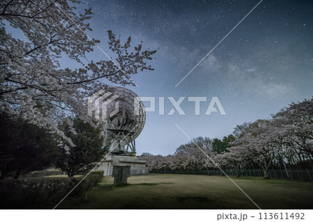 茨城県高萩市 さくら宇宙公園の満開の桜と天の川 茨城県高萩市 さくら宇宙公園の満開の桜と天の川 113611492