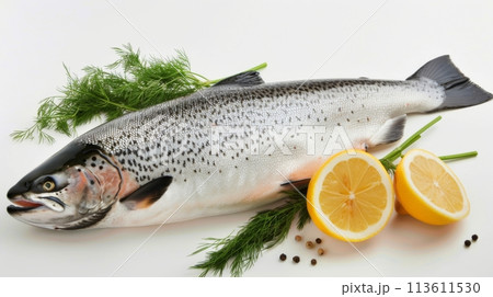 Fresh Salmon with Herbs, Spices and lemon 113611530