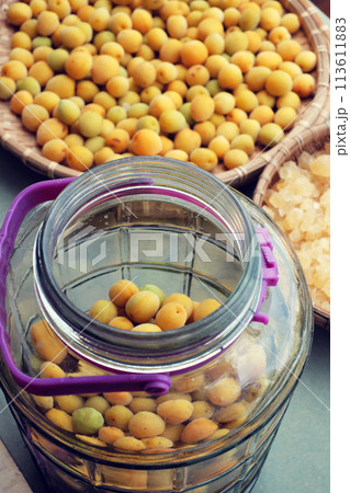 Raw material for making delicious beverage from apricot or Japanese plum with sugar, seasonal fruit that good for health, nutrition, rich vitamin Raw material for making delicious beverage from apricot or Japanese plum with sugar, seasonal fruit that good for health, nutrition, rich vitamin 113611883