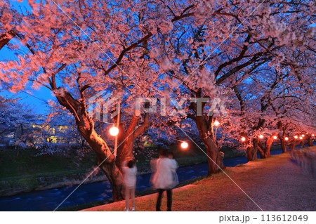 【富山県】あさひ舟川べりの満開の夜桜 113612049